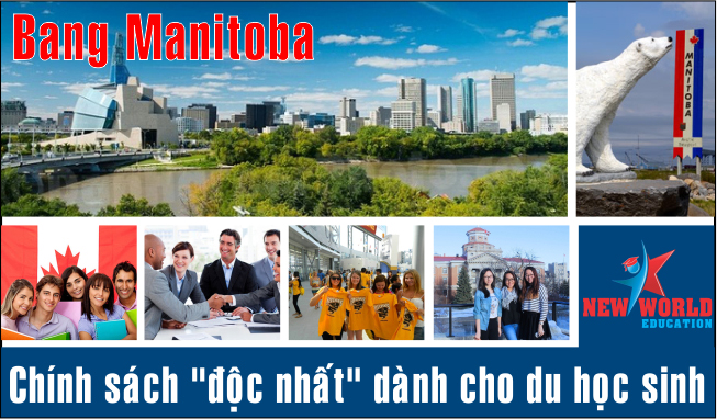 du hoc canada chinh sach Manitoba