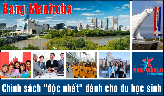 du hoc canada chinh sach Manitoba