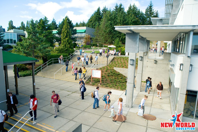 du hoc canada truong dai hoc vancouver island university