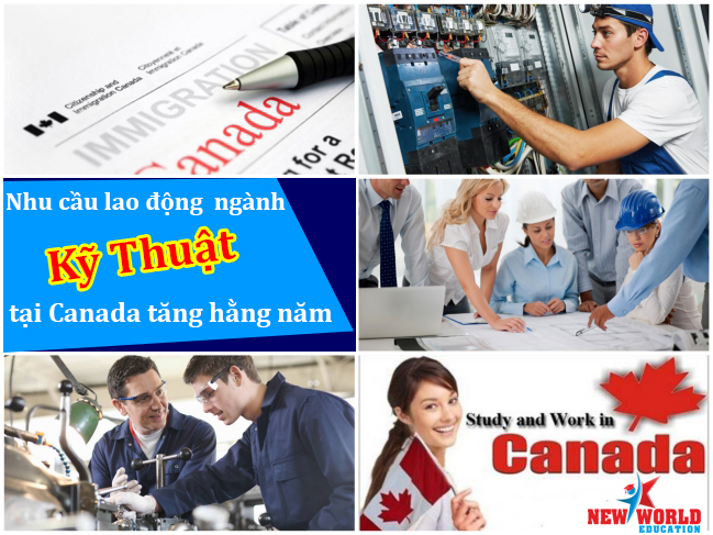 du hoc canada khoi nganh ky thuat