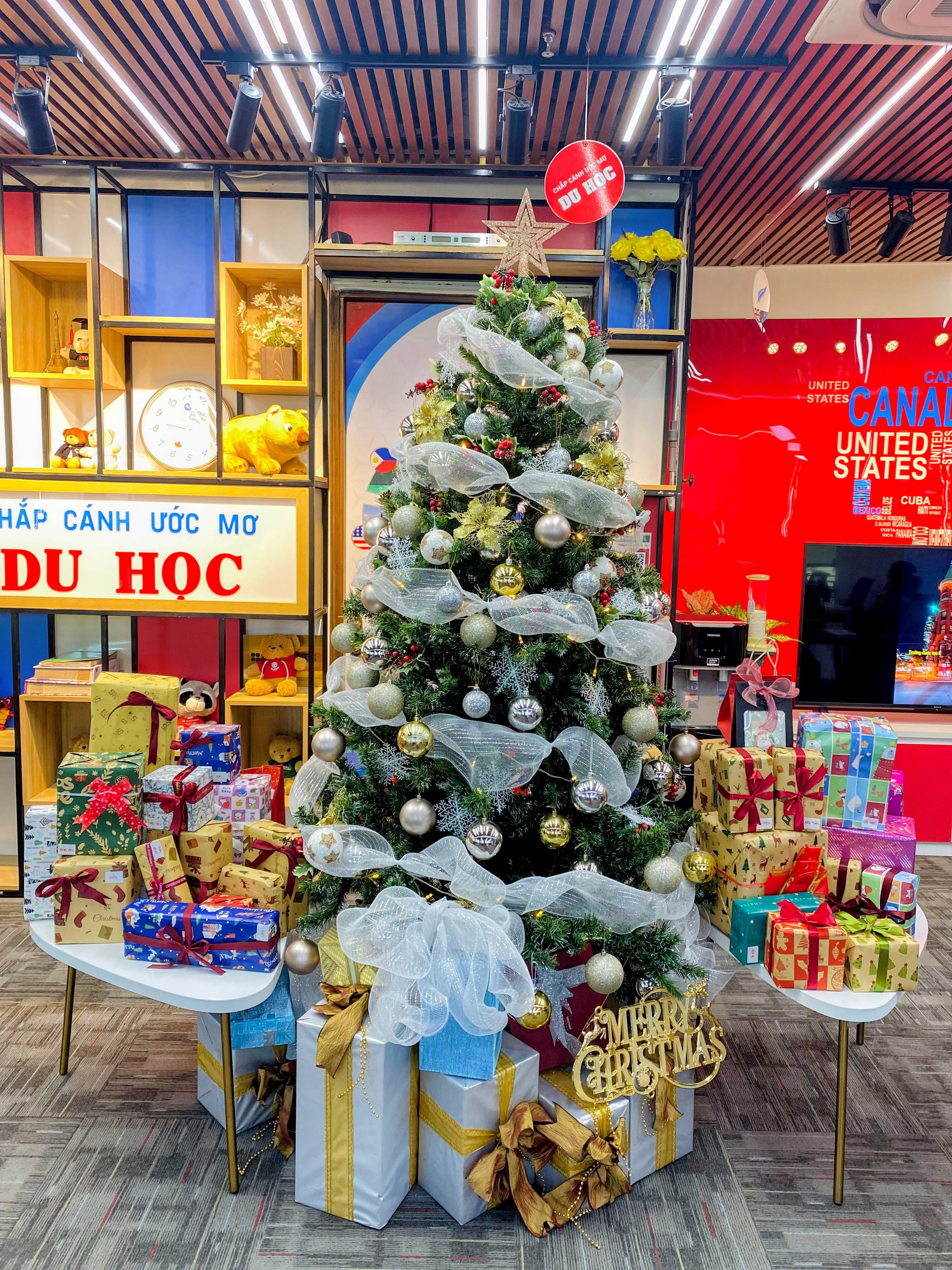 Giáng sinh 2024 - Team TPHCM